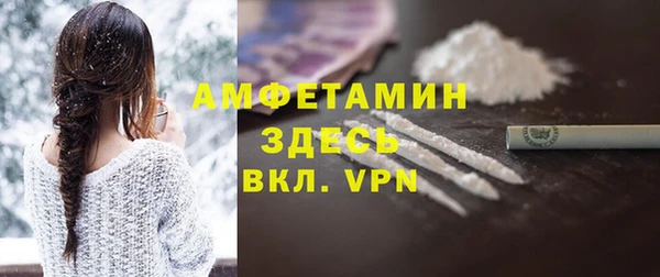 твердый Арсеньев